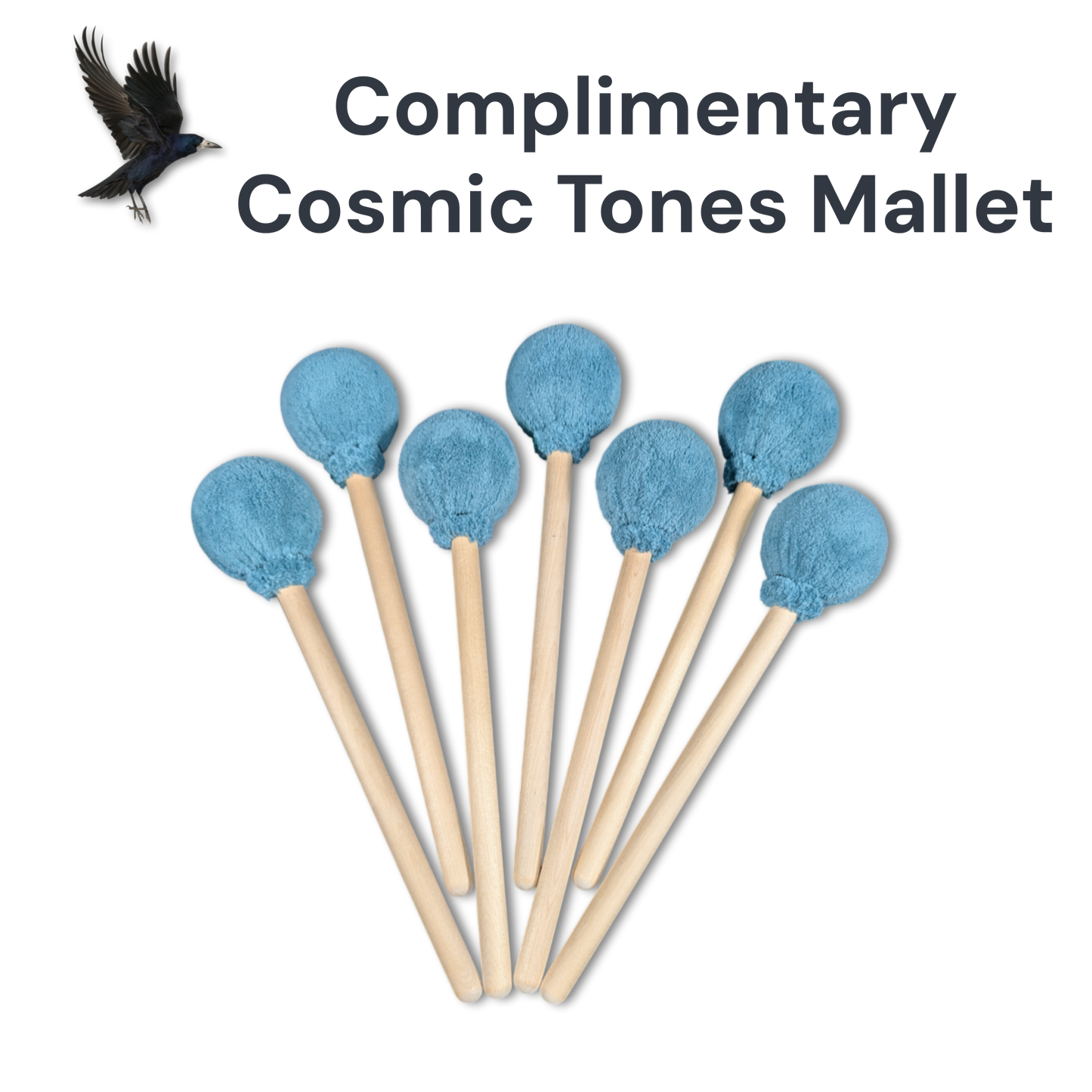 Sun Gong by Raven Sounds, Handmade Bronze Wind Gong, Free Mallet - Raven Sounds