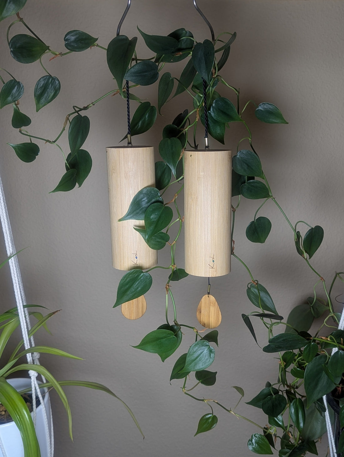 Three Koshi chimes hanging side by side among trailing pothos vines