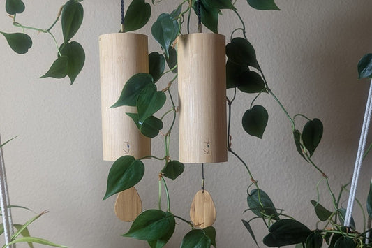 Two Koshi chimes hanging among houseplants at home