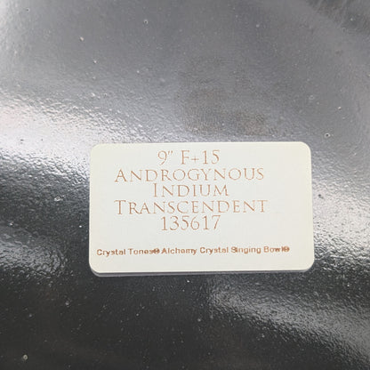 Crystal Tones 9" Androgynous Indium Quartz Crystal Singing Bowl (F3+15)